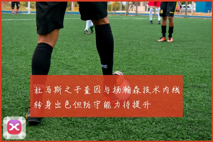 杜马斯之子奎因与杨瀚森技术内线转身出色但防守能力待提升
