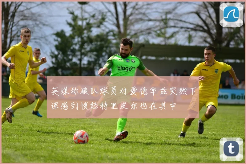 英媒称狼队球员对爱德华兹突然下课感到愤怒特里皮尔也在其中